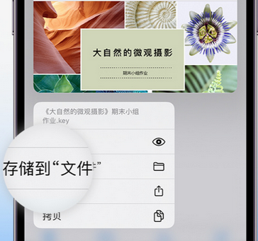 剑川apple维修中心分享iPhone文件应用中存储和找到下载文件