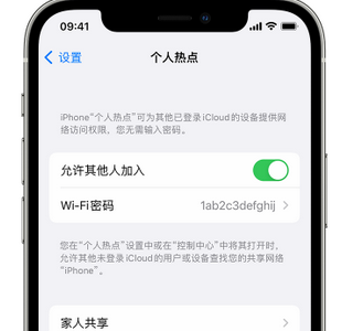 剑川apple服务站点分享iPhone上个人热点丢失了怎么办 