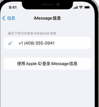 剑川apple维修iPhone上无法正常发送iMessage信息 