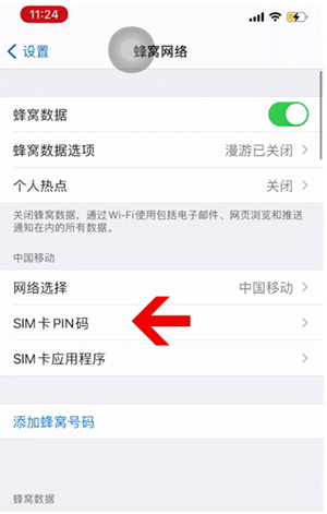 剑川苹果14维修网分享如何给iPhone14的SIM卡设置密码 