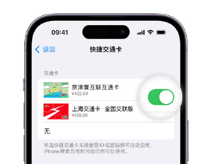 剑川apple维修点分享iPhone上更换Apple Pay快捷交通卡手绘卡面 