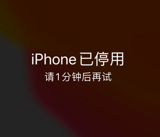 剑川苹果手机维修分享:iPhone 显示“不可用”或“已停用”怎么办？还能保留数据吗？ 