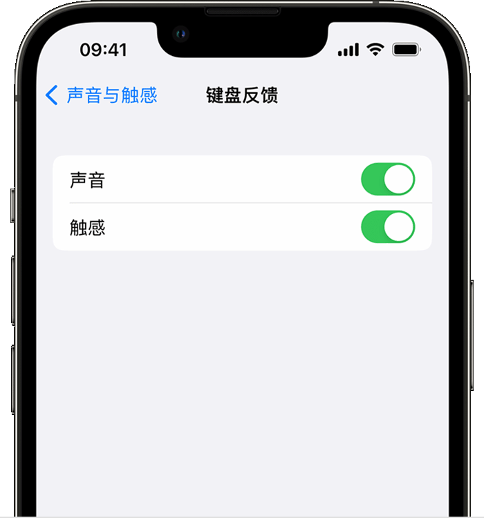 剑川苹果14维修店分享如何在 iPhone 14 机型中使用触感键盘 