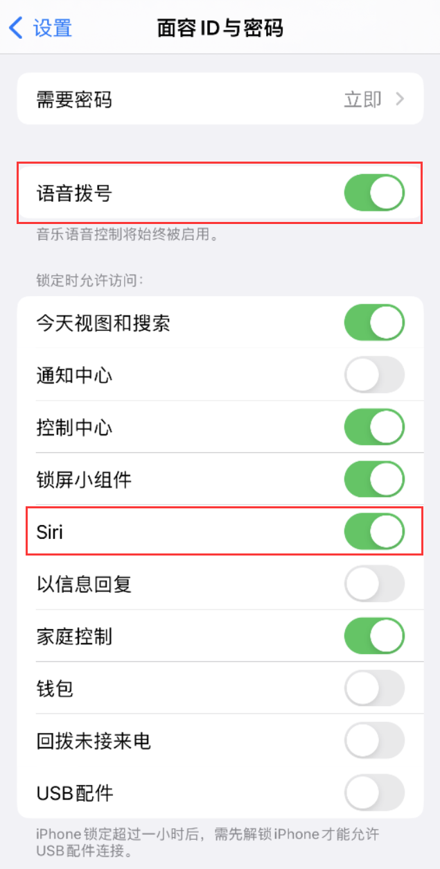 剑川苹果维修网点分享不解锁 iPhone 的情况下通过 Siri 拨打电话的方法 