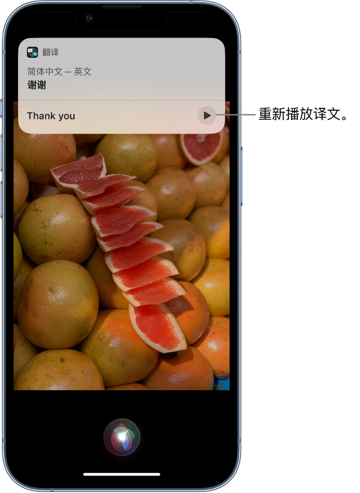 剑川苹果14维修分享 iPhone 14 机型中使用 Siri：了解 Siri 能帮你做什么 