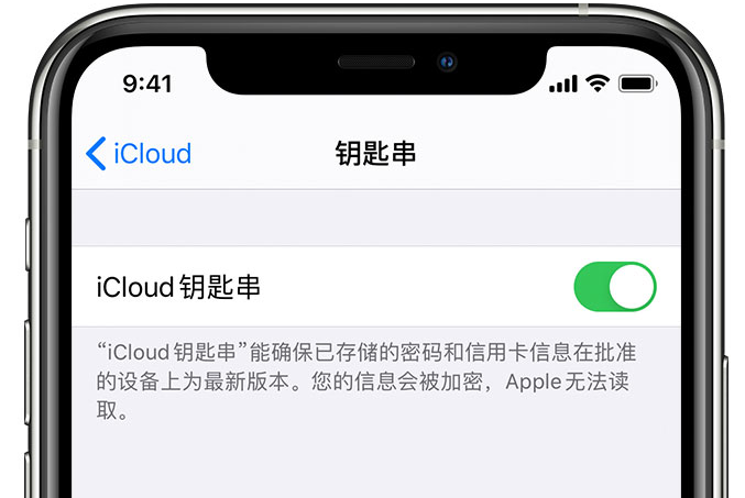 剑川苹果手机维修分享在 iPhone 上开启 iCloud 钥匙串之后会储存哪些信息 