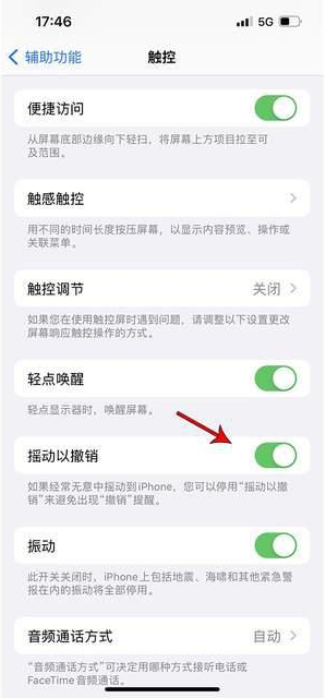 剑川苹果手机维修分享iPhone手机如何设置摇一摇删除文字 