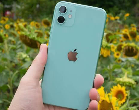 剑川苹果维修点分享iPhone 11锁屏密码认知与使用科普 