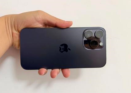剑川苹果维修点分享iPhone 14 Pro Max黑屏少见故障盘点 